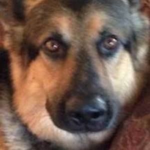 Meet your Posher, Ann